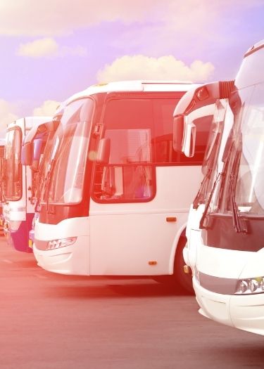 berardi noleggio pulmino a frosinone(2)