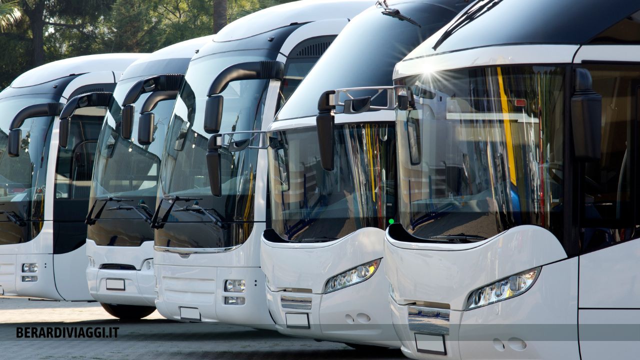 noleggio bus frosinone scuole e viaggi